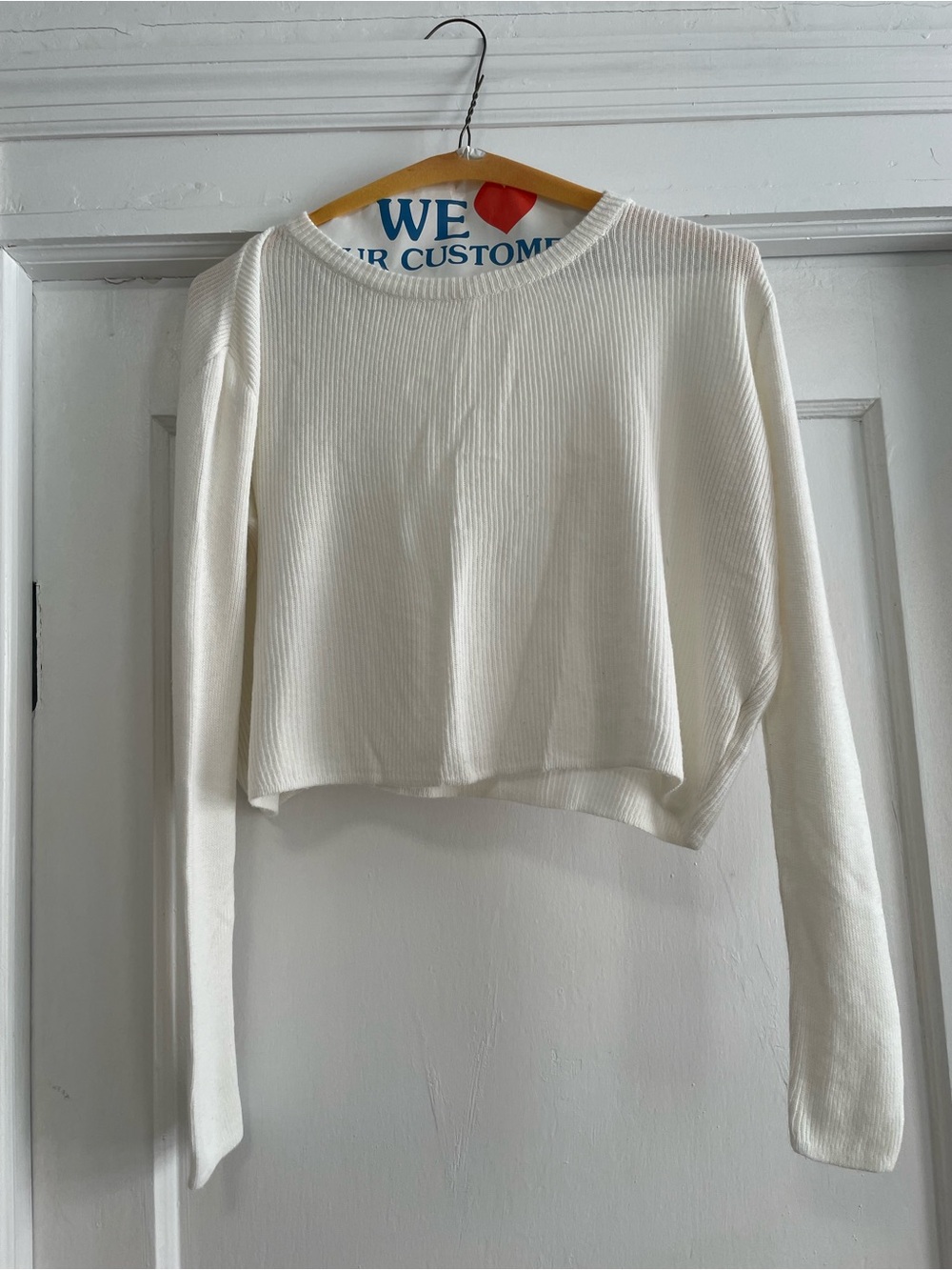 NWOT Brandy Melville Cropped Sweater